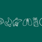 Що «люблять» і чого «уникають» наші органи