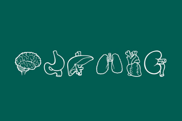 Що «люблять» і чого «уникають» наші органи