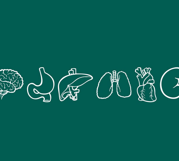 Що «люблять» і чого «уникають» наші органи