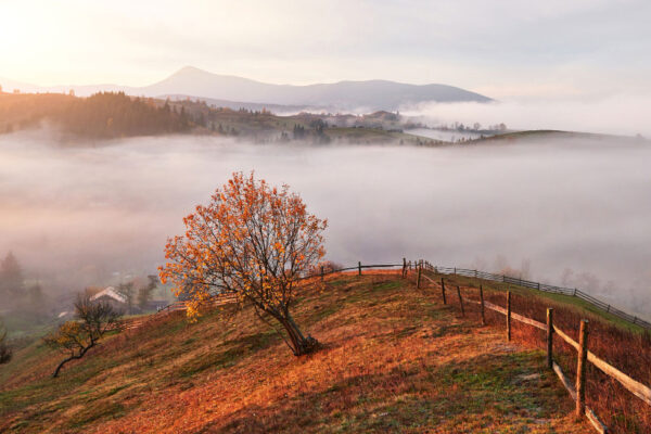 Мистецтво бути цілісним