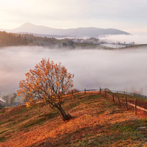 Мистецтво бути цілісним